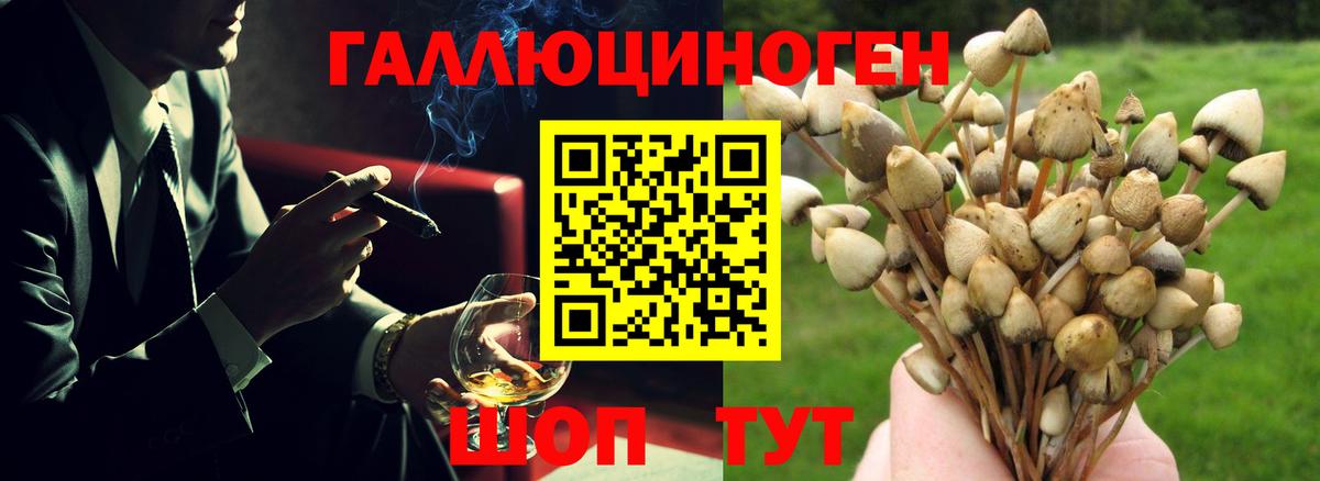 Галлюциногенные грибы MAGIC MUSHROOMS Геленджик