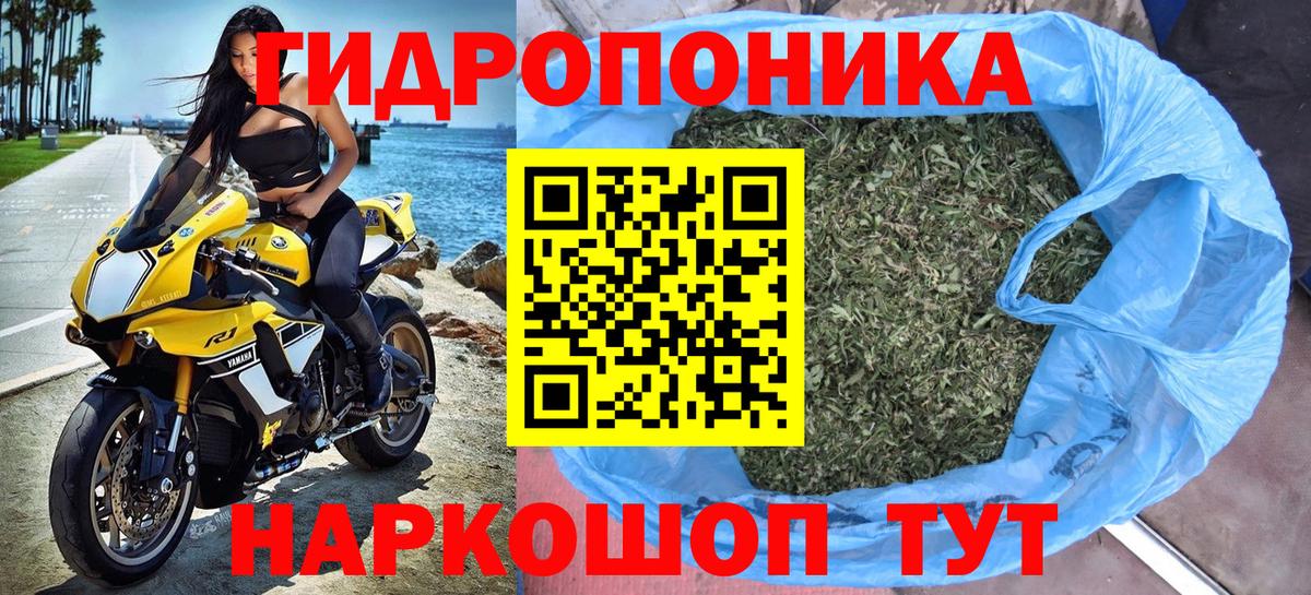 Бошки марихуана индика  Марихуана OG Kush  Бошки марихуана Bruce Banner  Геленджик  Вход с VPN 